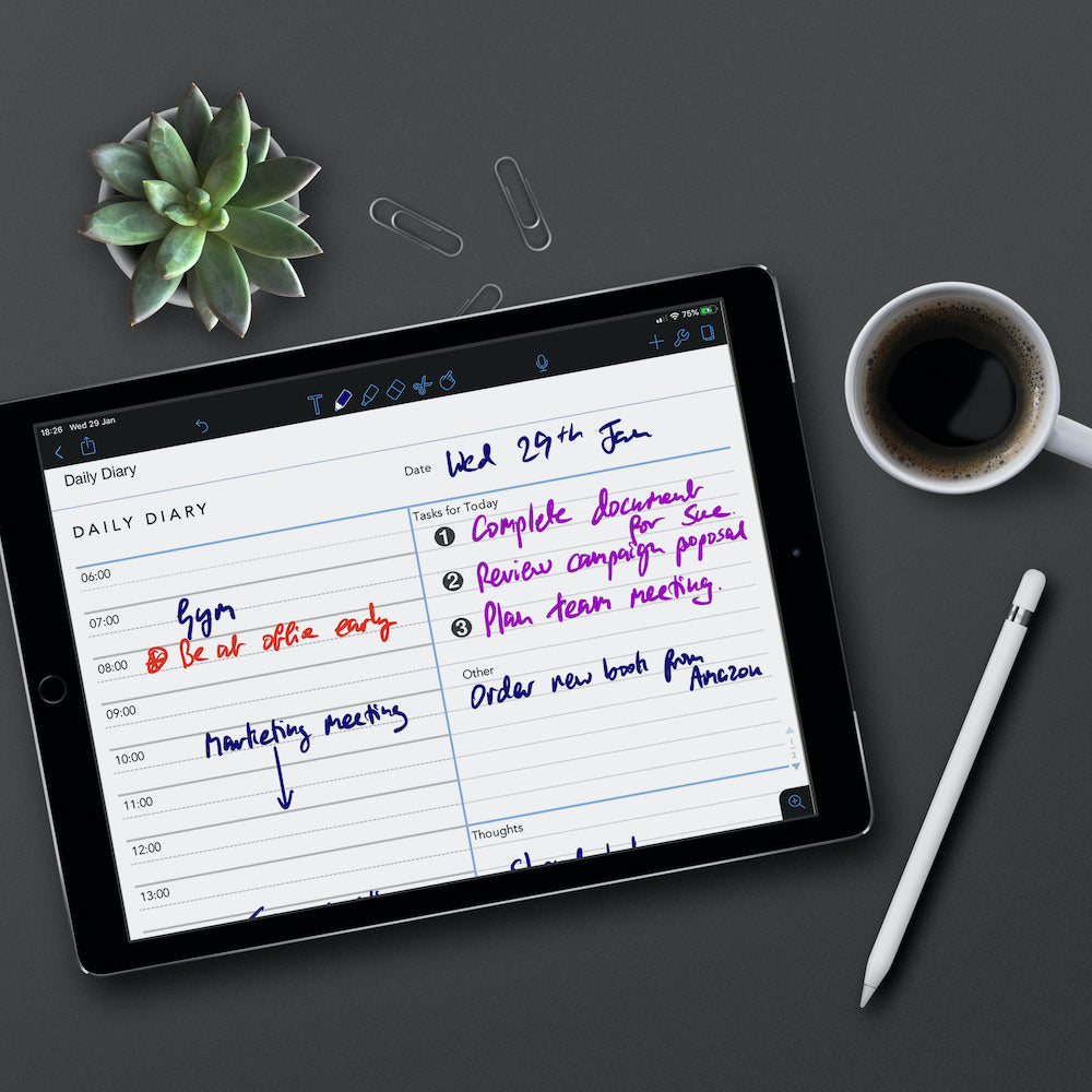 Daily Diary template for paperless use on iPad or tablet