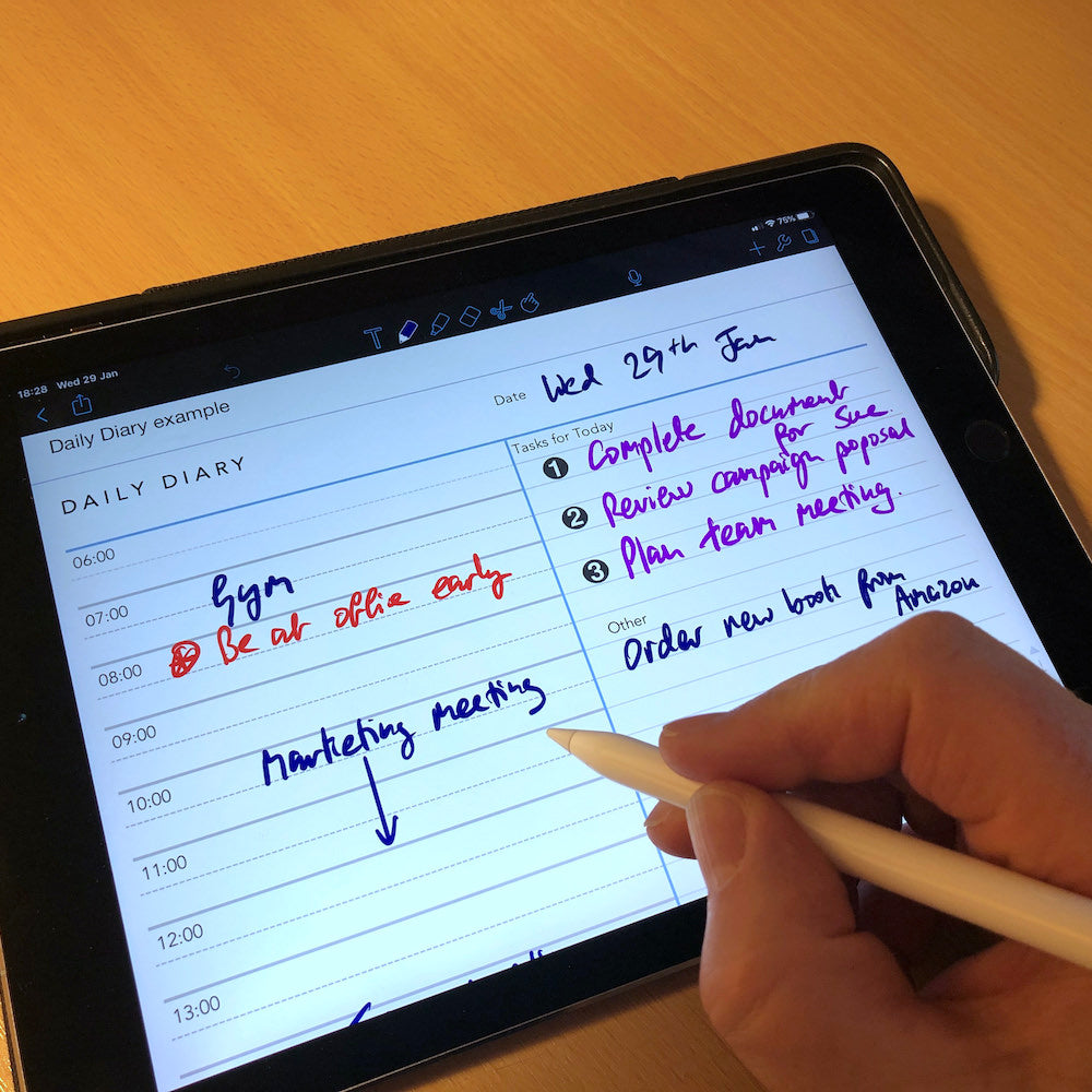 Daily Diary template for paperless use on iPad or tablet