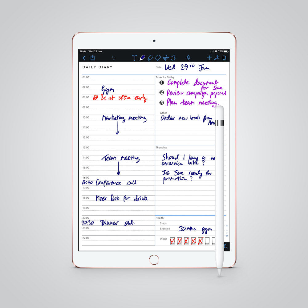 Daily Diary template for paperless use on iPad or tablet