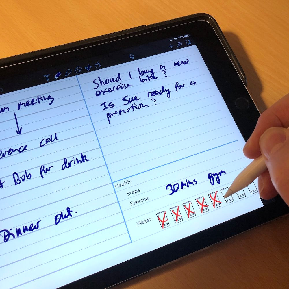 Daily Diary template for paperless use on iPad or tablet